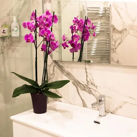 Casanova Lux Ground Floor Apt Florence