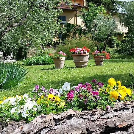 Ulivi Di Castello Bed & Breakfast Florence