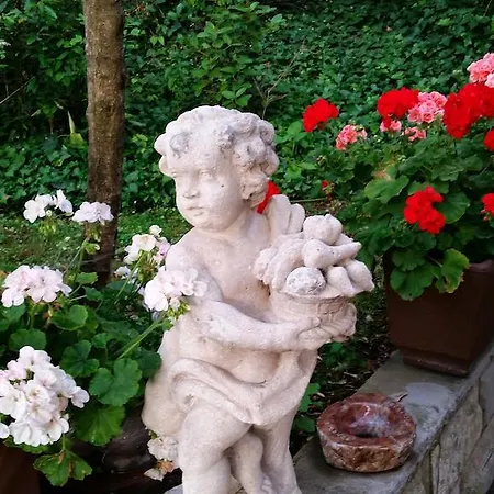 Ulivi Di Castello Bed & Breakfast