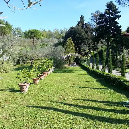 Ulivi Di Castello
