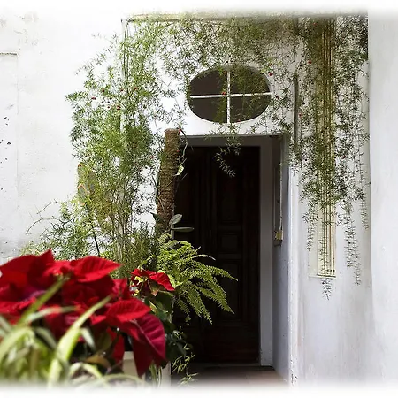 Florence Rental Apartment Florence