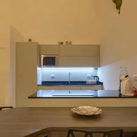 Apartment La Casa Di Bruna E Giordano In Santo Spirito Florence