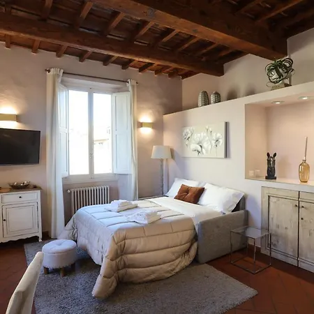 Santo Spirito - Elegante In Pieno Centro Apartment Florence