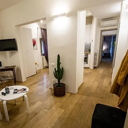 Acacia Firenze - Girasole