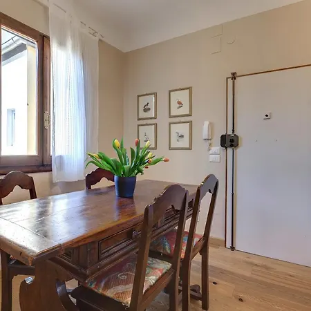 Apartment Woodie By Mamo