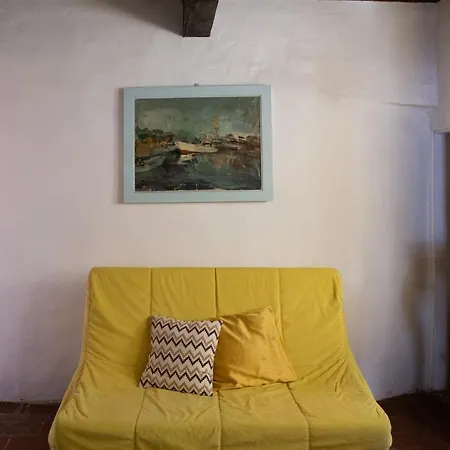 Comfy Near Palazzo Pitti * Firenze