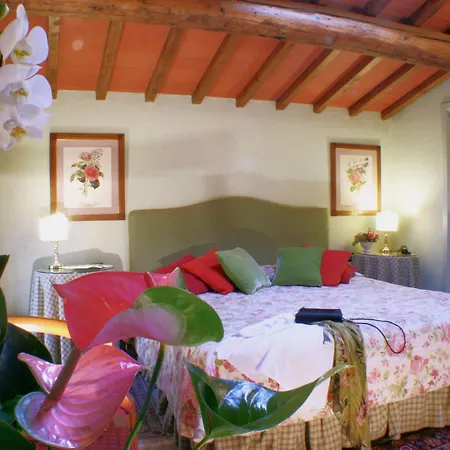 Joivy Together Secret Nest Hotell Florens