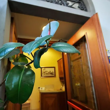 Anna's Hotel Florencia