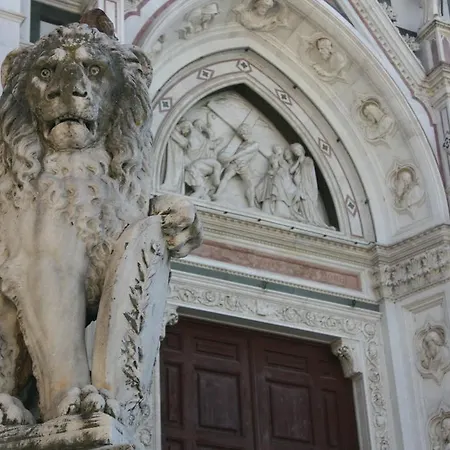 Albion Firenze