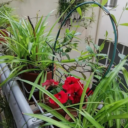Apartamento Pitti Loft Florencia