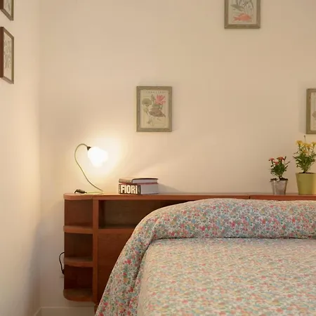 Roommo Viuzzo Delle Canne *