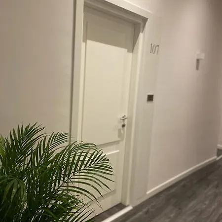 Hotel Delle Camelie 2*