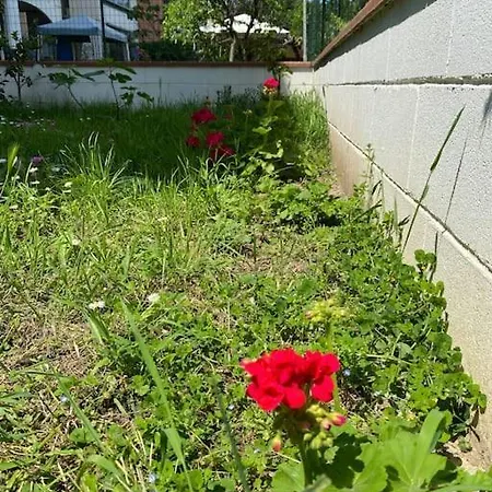 Apartamento Bella Garden House - Private Garden In Florença