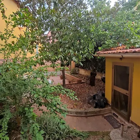 Apartamento Careggi Garden