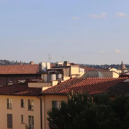 Santa Maria Novella - Golden Lily Florence, Center *