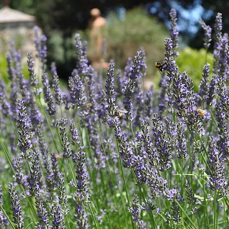 Armonie Di Incontri Bed & Breakfast Florencie