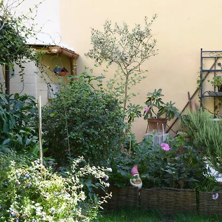 Casa Gori