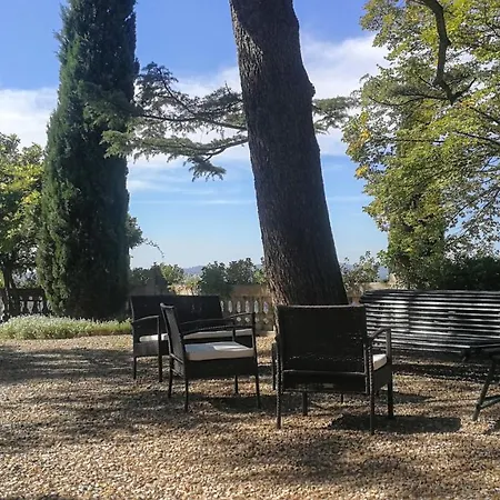 La Piccioncina *