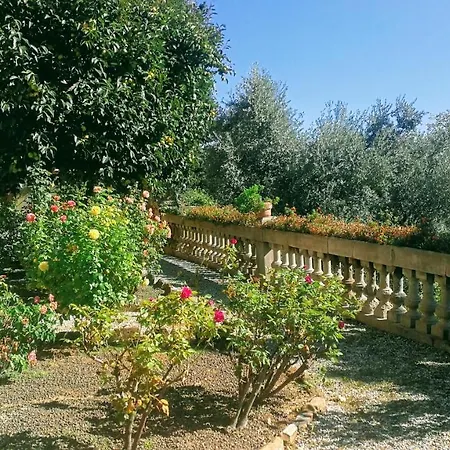 La Piccioncina