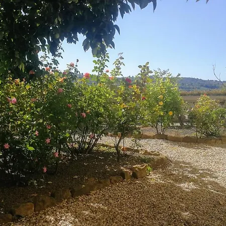 La Piccioncina Bed & Breakfast *