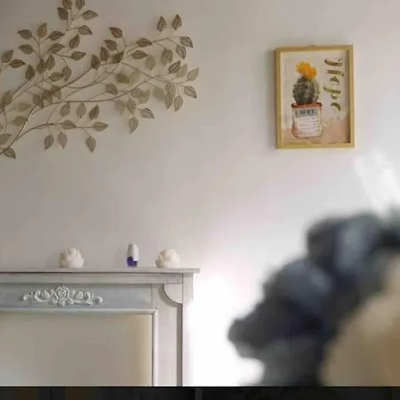 Casa Ornella Centro Storico Apartment Florence