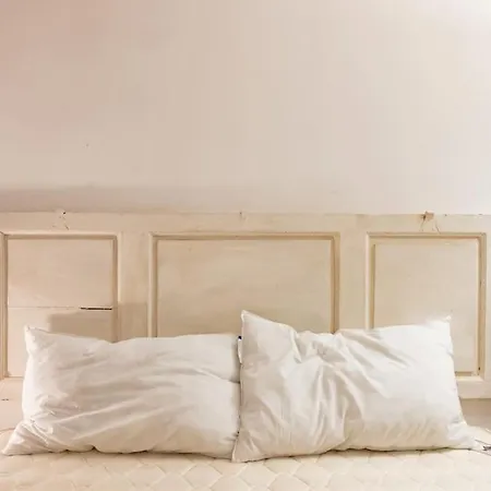 Classic Florentine Flat Near Piazza Santa Croce *