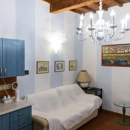 Apartment Charming By Piazza Santo Spirito Florence