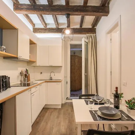 Apartment Oltrarno In