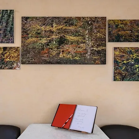 The Art Gallery
