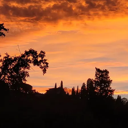Vista Su Giardini Storici In Oltrarno *