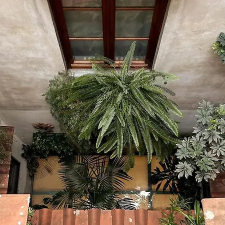 Apartment Santa Reparata Downtown *