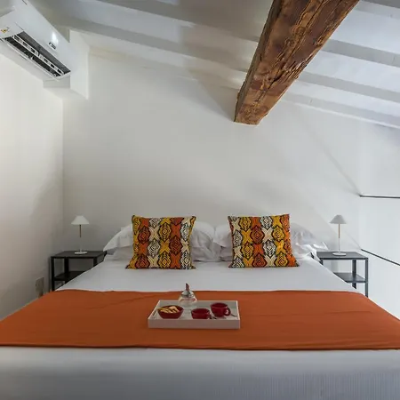 Apartment Santo Spirito's Nest