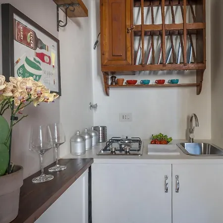 Apartment Santo Spirito's Nest Florence