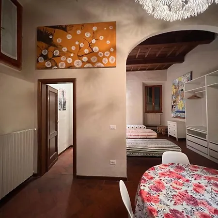 Mag1 Florence