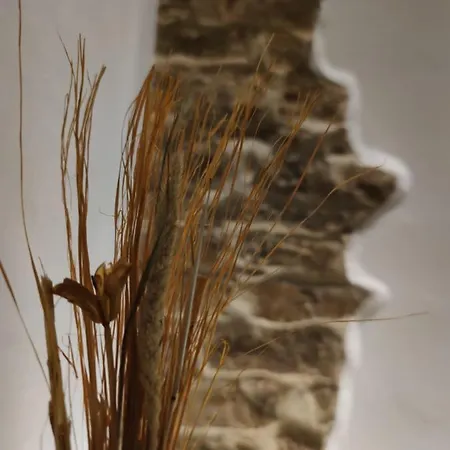 Dante's Dei Cerchi Φλωρεντία