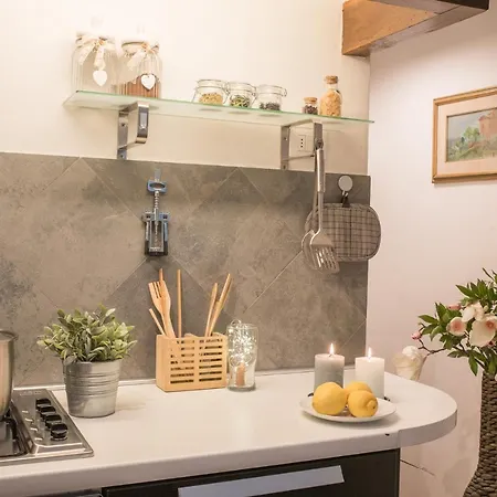 Pitti - Flo Apartment Florence
