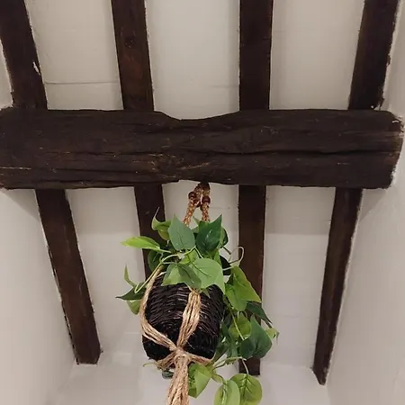 La Piccola Oasi Con Parcheggio Appartement