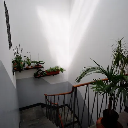 Borgo Pinti 49 Appartamento *