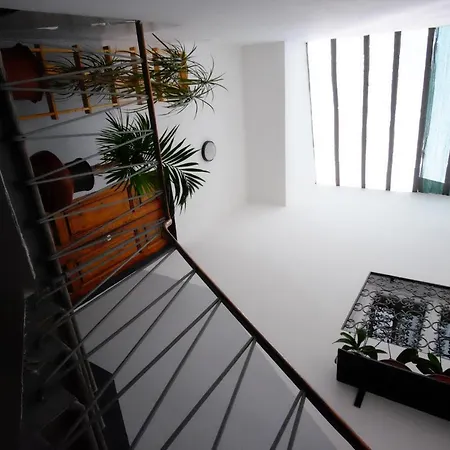 Borgo Pinti 49 Apartment Florence