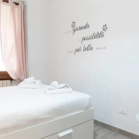 Federighi Comfort *