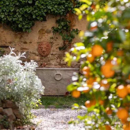 לינה וארוחת בוקר Secret Garden פירנצה