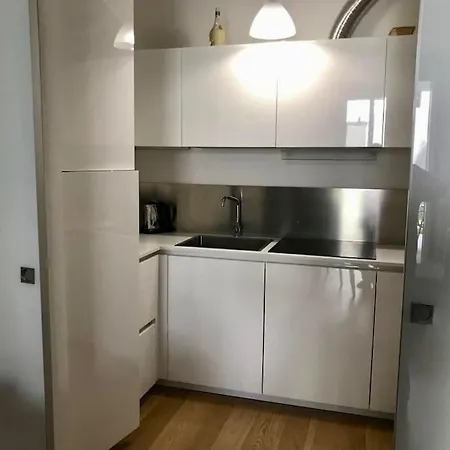 Apartment Downtown Florence, Moderno Con Giardino