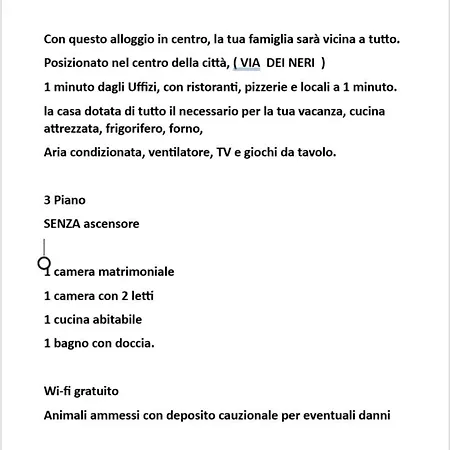 Apartment De' Neri Florence