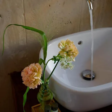 Mabelle Residenza Sassetti Bed & Breakfast Florens