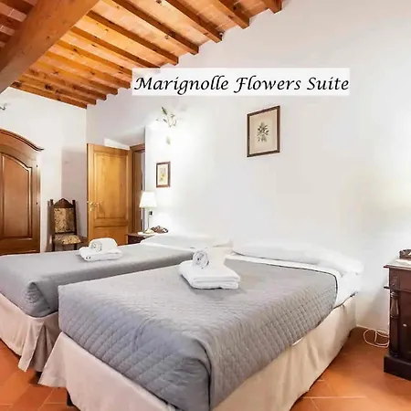 Marignolle Flowers Holiday home Florence