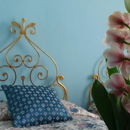 Michelangelo Bed & Breakfast Florence