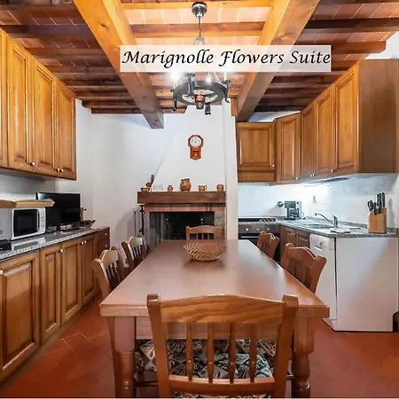 Holiday home Marignolle Flowers Florence