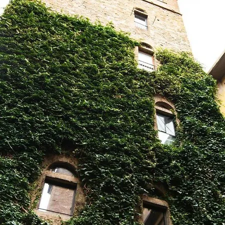 Apartment Belfredelli