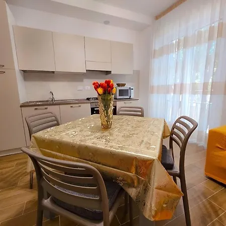 Bravo Horse Modern In Apartment *