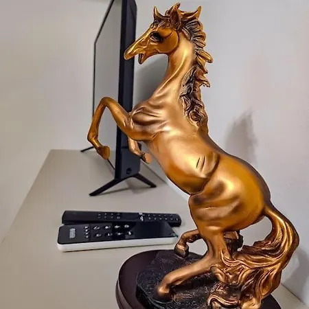 Bravo Horse Modern In Apartment *
